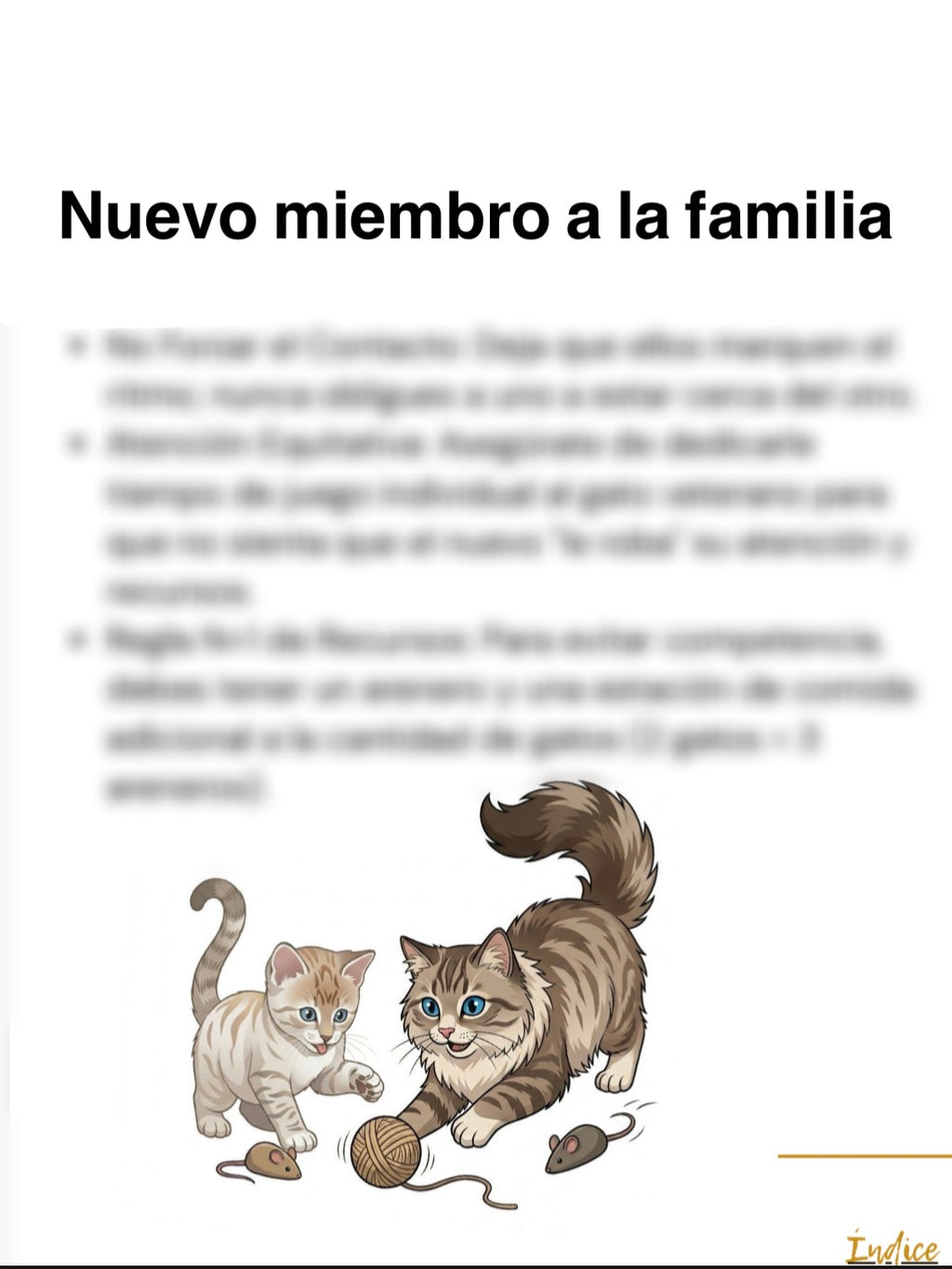 Nuevo miembro felino e-book